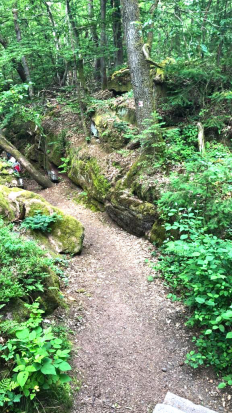 Felsenwald-Tour_Juni_2021